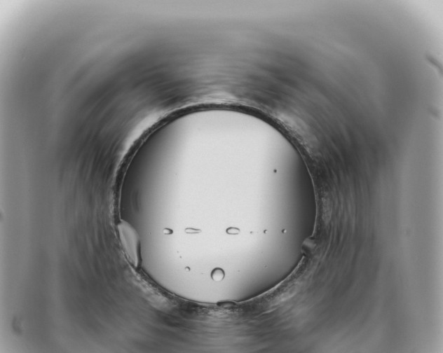 X0000095891326200801251154