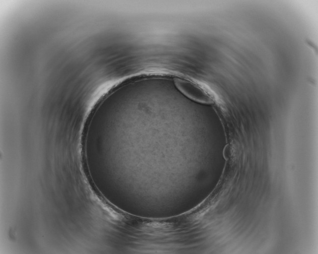 X0000095891327200801251154