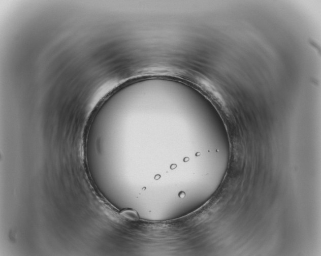 X0000095891328200801251154