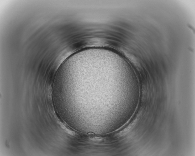 X0000095891329200801251154