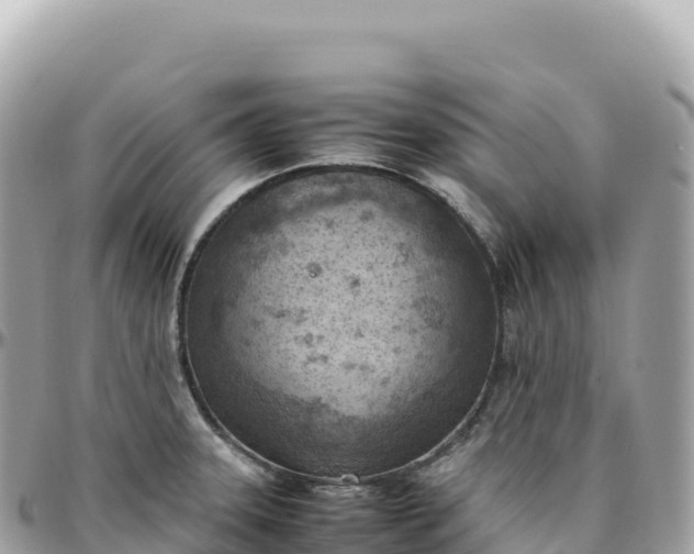X0000095891331200801251154