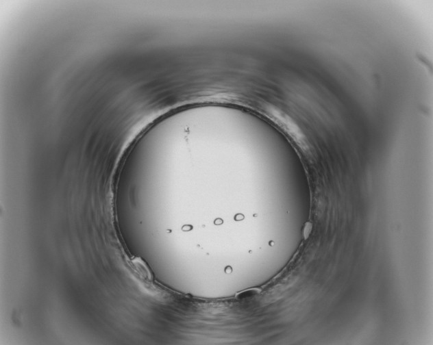 X0000095891332200801251154