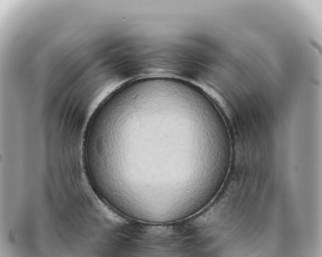 X0000095891333200801251154