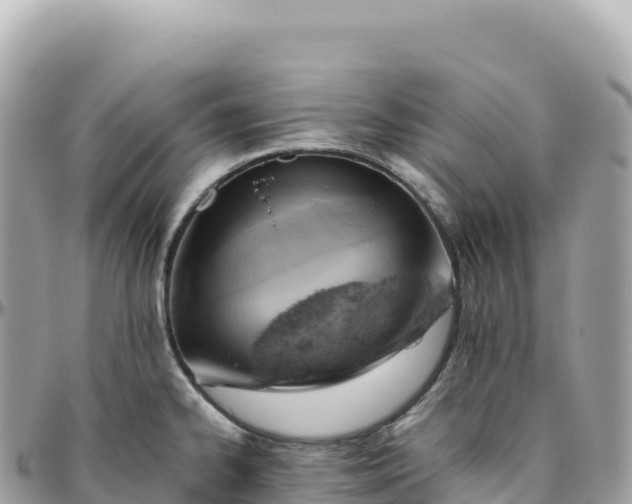 X0000095891334200801251154