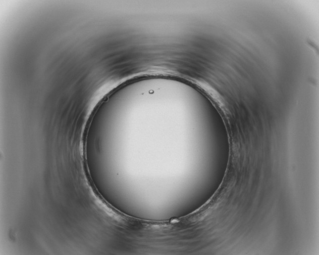 X0000095891335200801251154
