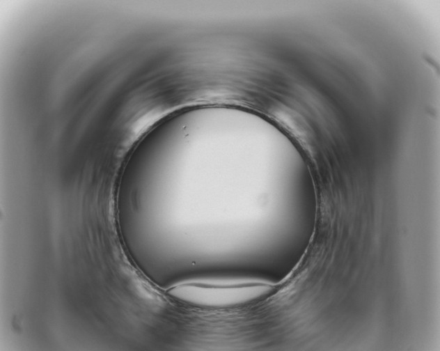X0000095891336200801251154