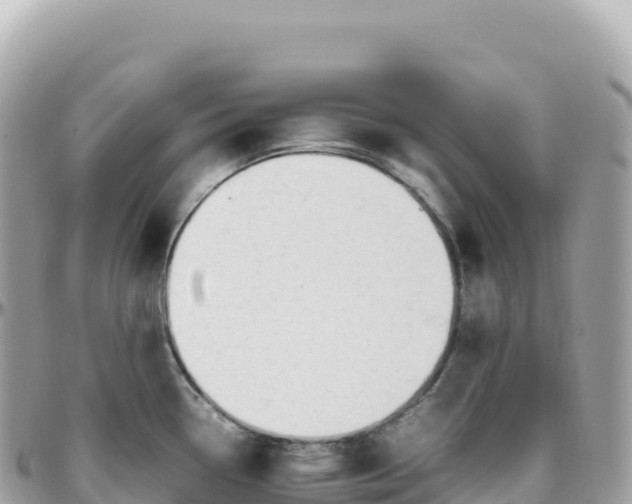 X0000095891338200801251154