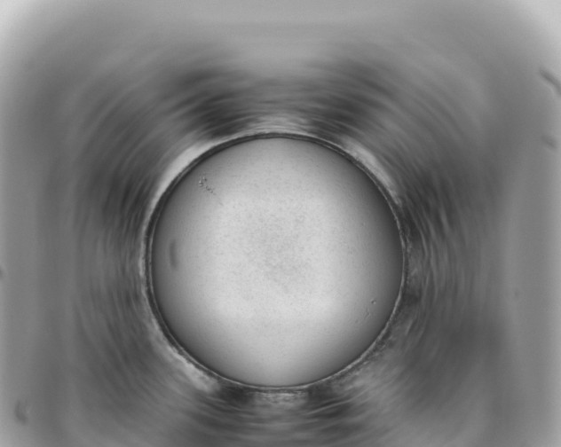 X0000095891339200801251154