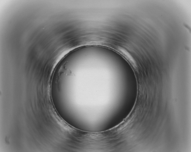 X0000095891340200801251154