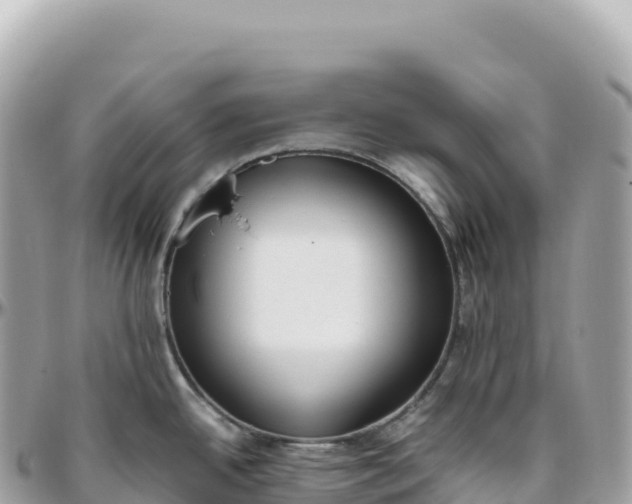 X0000095891342200801251154