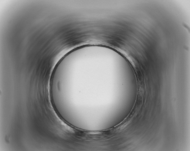 X0000095891343200801251154