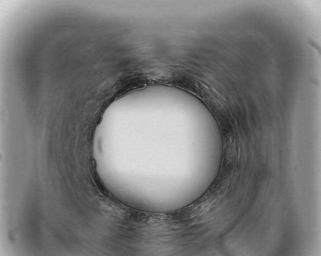 X0000095891345200801251153