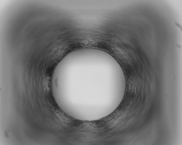 X0000095891346200801251153