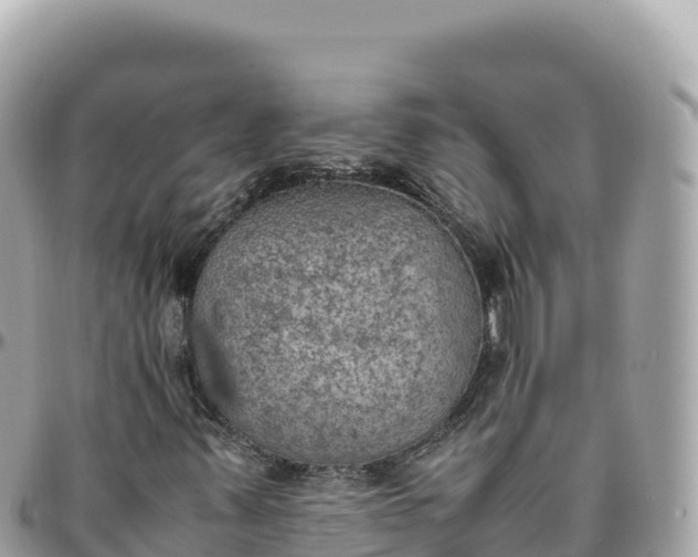 X0000095891347200801251153