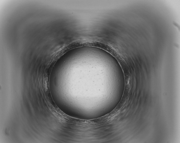 X0000095891348200801251153