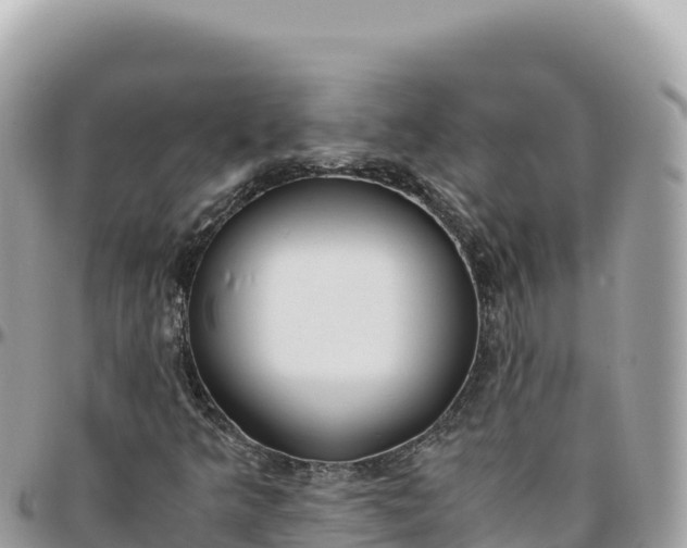X0000095891349200801251153