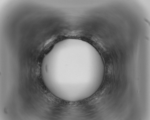 X0000095891350200801251153