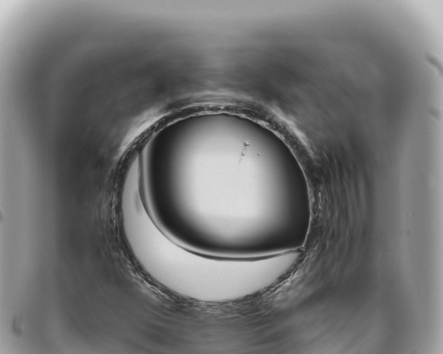 X0000095891352200801251153