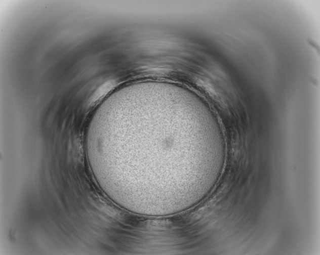 X0000095891354200801251153