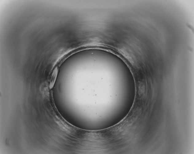 X0000095891356200801251153