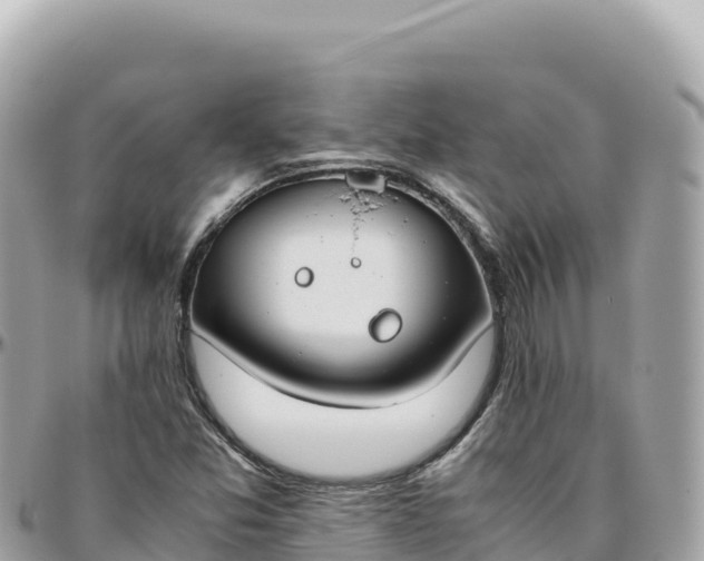 X0000095891357200801251153