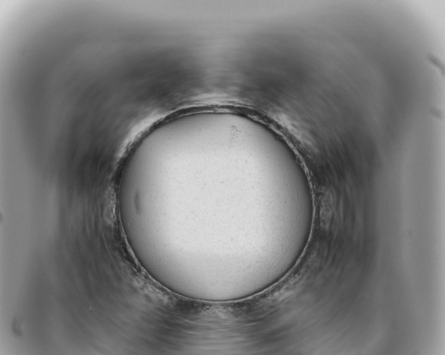 X0000095891358200801251153