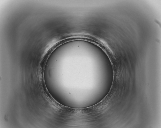 X0000095891360200801251153