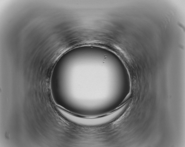 X0000095891361200801251153