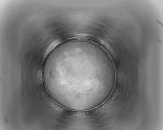 X0000095891362200801251153