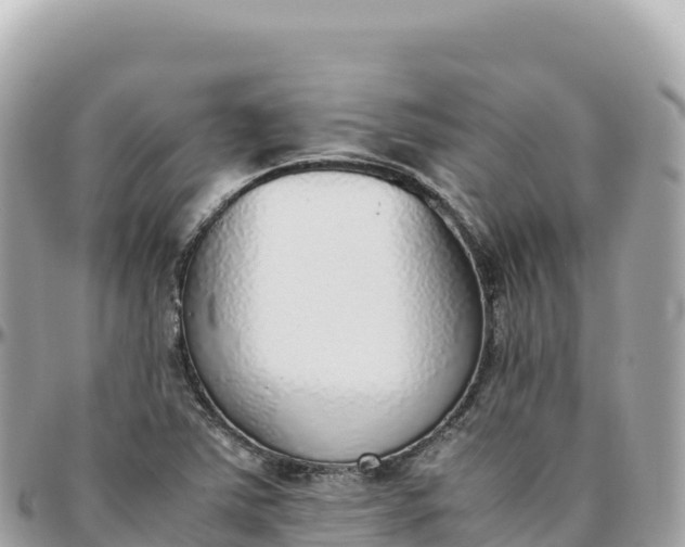 X0000095891363200801251153