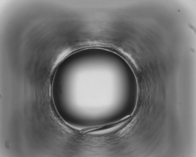 X0000095891365200801251153