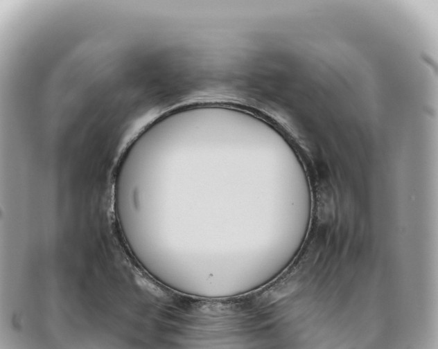 X0000095891366200801251153