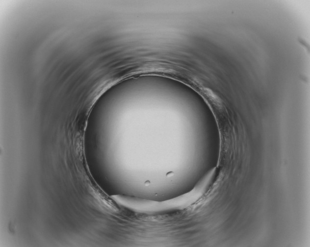 X0000095891369200801251153