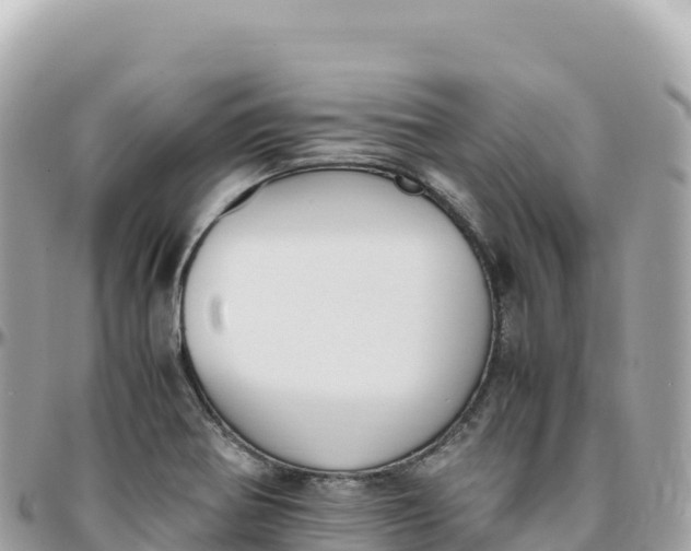 X0000095891370200801251153