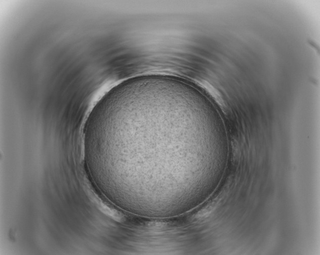X0000095891371200801251153