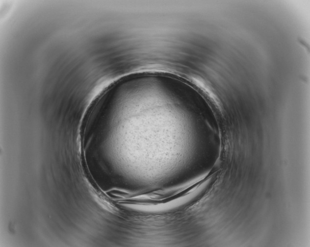 X0000095891372200801251153
