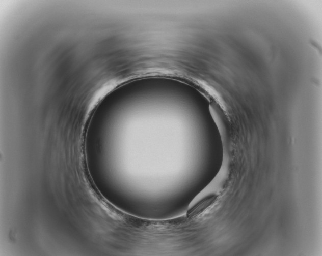 X0000095891373200801251153