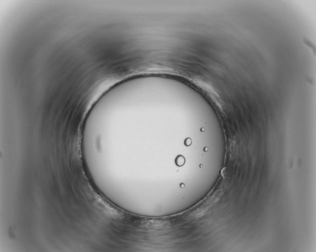 X0000095891374200801251153