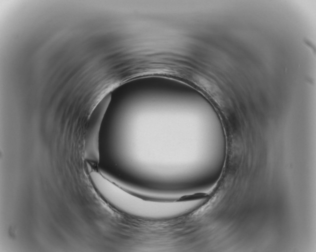 X0000095891377200801251153