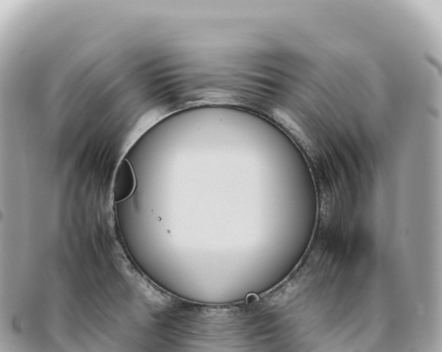 X0000095891378200801251153