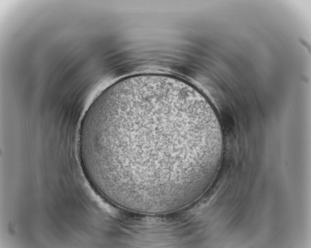 X0000095891379200801251153