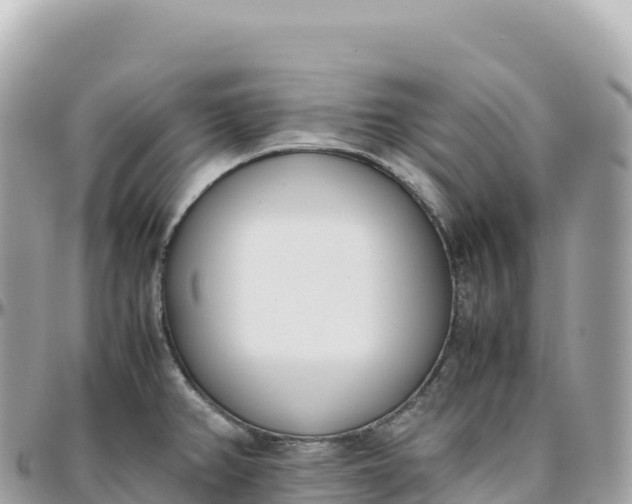 X0000095891382200801251153