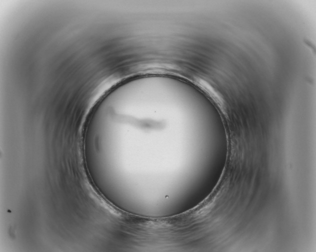 X0000095891384200801251153