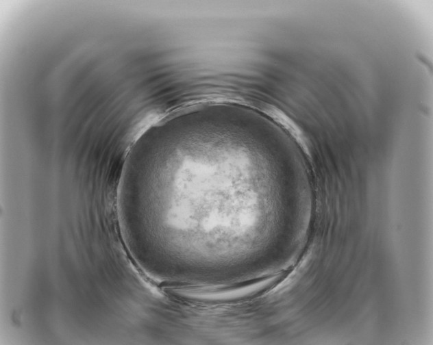 X0000095891385200801251153