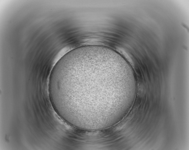 X0000095891386200801251153