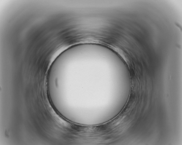 X0000095891387200801251153