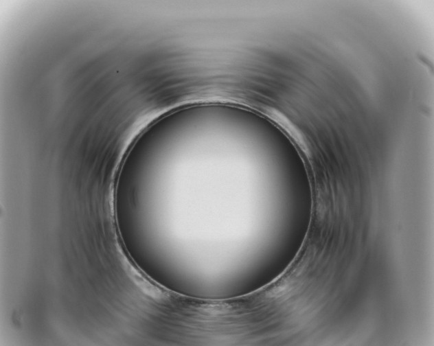 X0000095891388200801251153