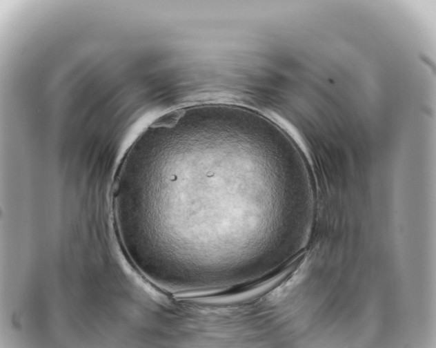 X0000095891389200801251153