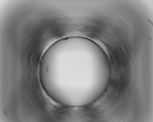 X0000095891390200801251153