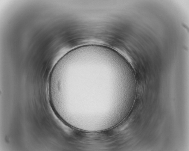 X0000095891391200801251153